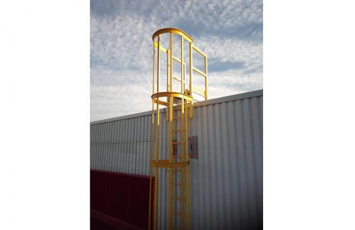 FRP Cage Ladder